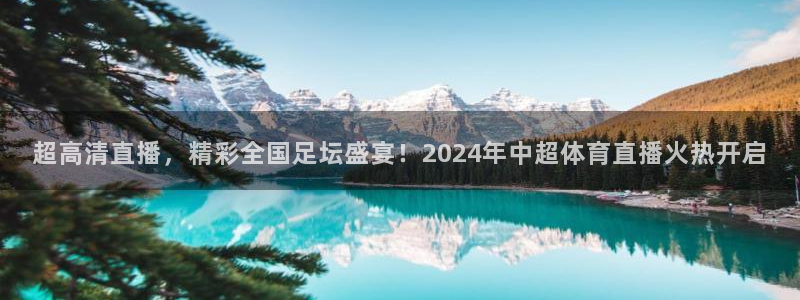 超高清直播，精彩全国足坛盛宴！2024年中超体育直播火热开启