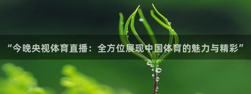 “今晚央视体育直播：全方位展现中国体育的魅力与精彩”