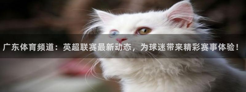 广东体育频道：英超联赛最新动态，为球迷带来精彩赛事体验！